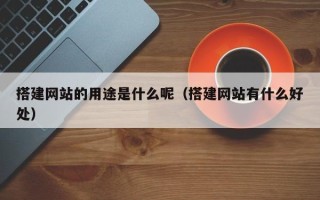 延安搭建网站的用途是什么呢（搭建网站有什么好处）